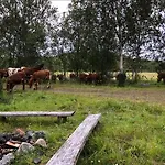 Kulpmo Gard Jarfjord-kirkenes