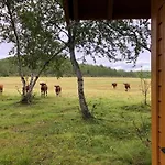 Kulpmo Gard Jarfjord-kirkenes 펜션