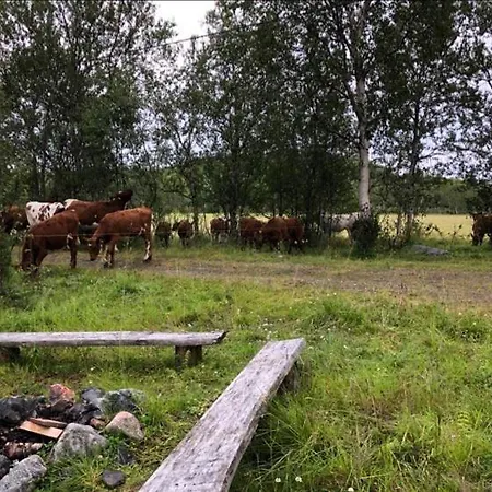 Kulpmo Gård Jarfjord-kirkenes
