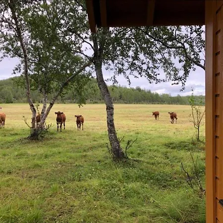 Kulpmo Gard Jarfjord-kirkenes Nyaraló