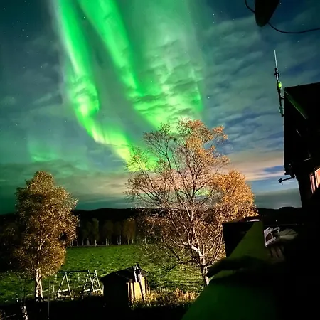 Kulpmo Gard Jarfjord-kirkenes Kirkenes