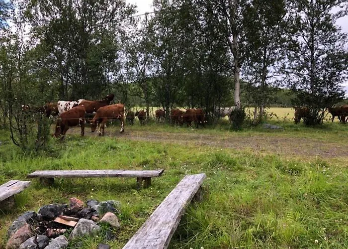 Kulpmo Gard Jarfjord-kirkenes