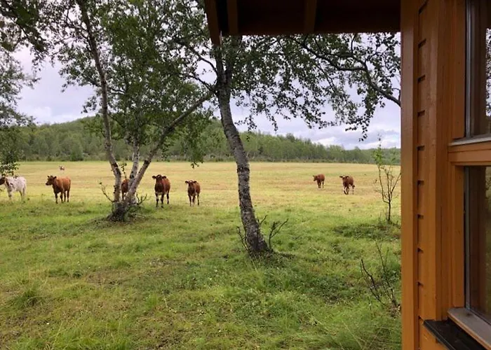Kulpmo Gard Jarfjord-kirkenes Ferienhaus