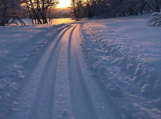 Kulpmo Gard Jarfjord-kirkenes